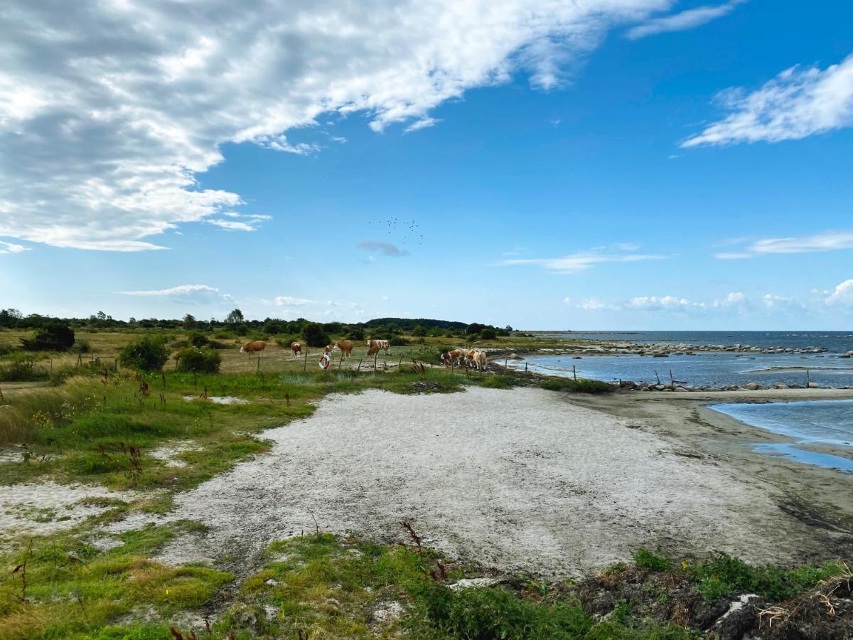 Haelleviks Camping Sölvesborg Kültér fotó